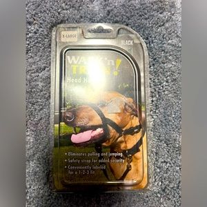 New / Dogs, Holti on their face